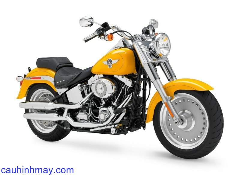 HARLEY DAVIDSON FLSTF FAT BOY - cauhinhmay.com