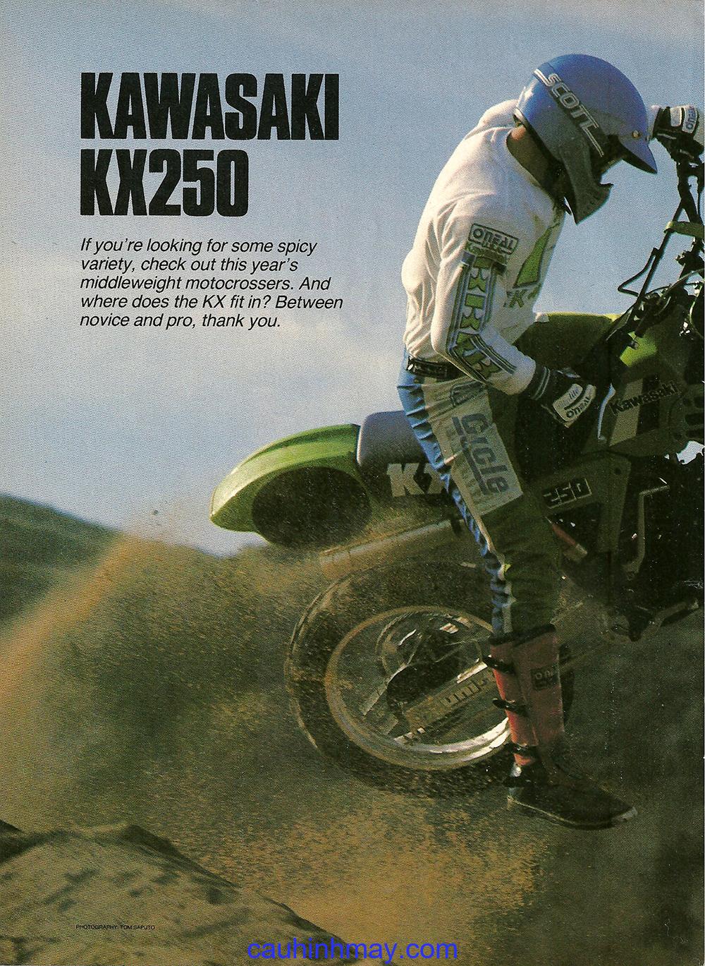 1984 KAWASAKI KX 250 - cauhinhmay.com