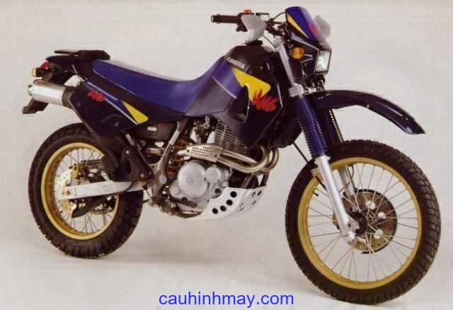 CAGIVA W16 600 - cauhinhmay.com