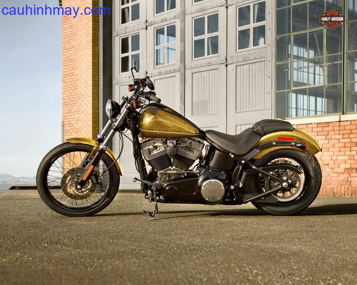 HARLEY DAVIDSON FXS BLACKLINE